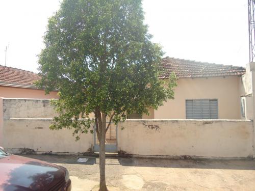 FOTO1
