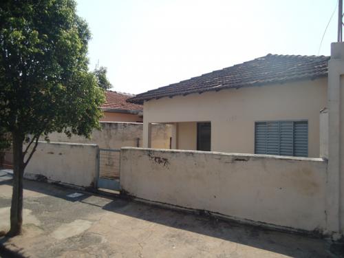 FOTO3