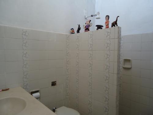 FOTO7